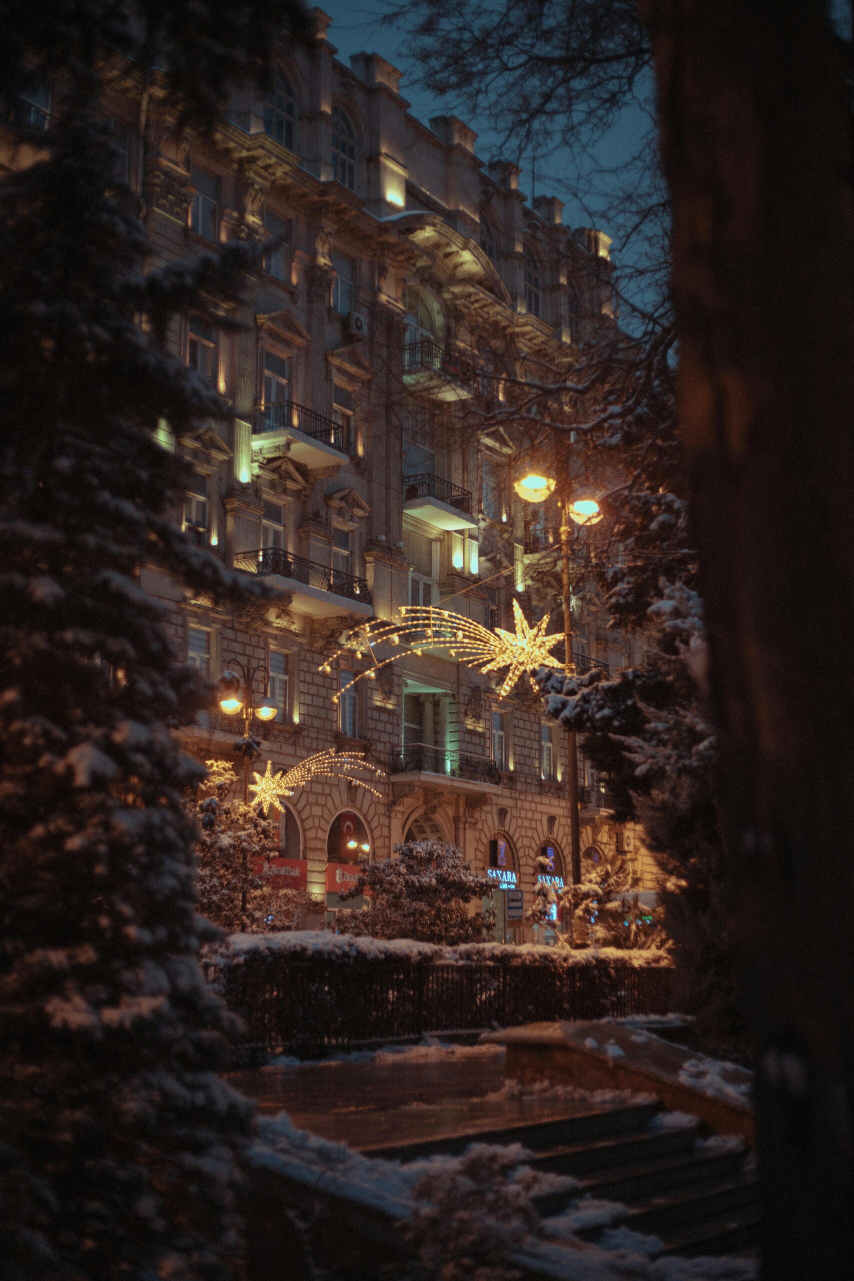 Why New England Homeowners Choose Tree and Landscape Lighting