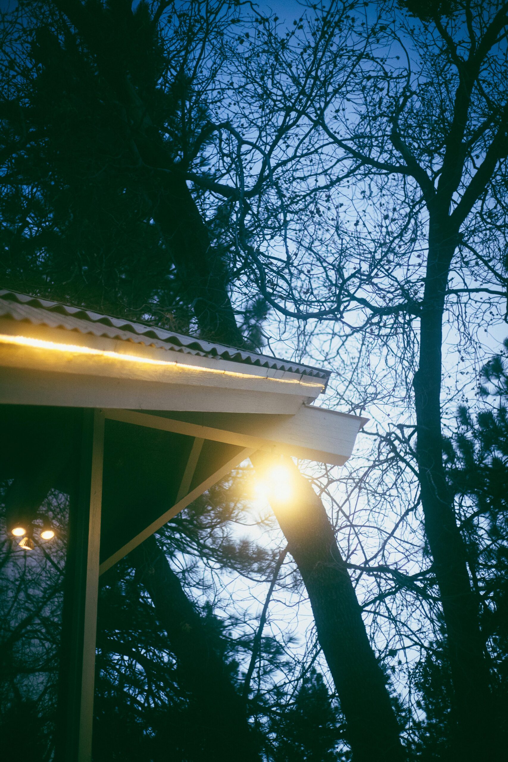 Why New England Clients Rely on Our Roofline Lighting Services