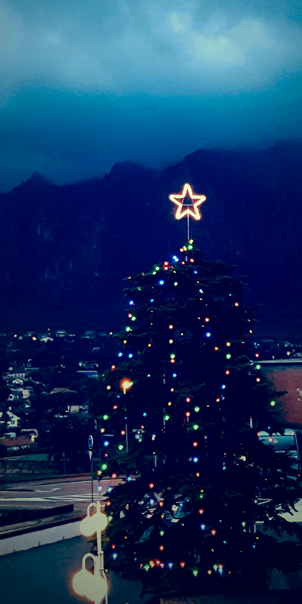 Benefits of Our Tree and Landscape Lighting in New England